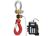 Wired Crane Scale